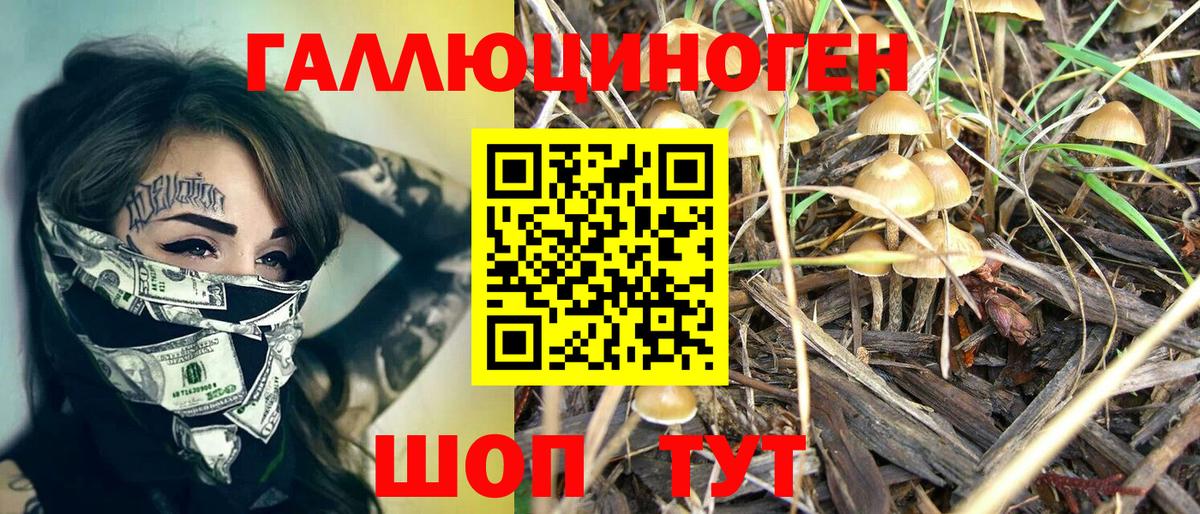 Псилоцибиновые грибы ЛСД Чебоксары
